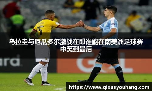 雷火电竞官方网站入口