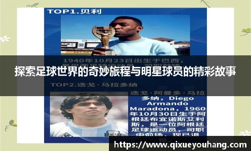 雷火电竞官方网站入口